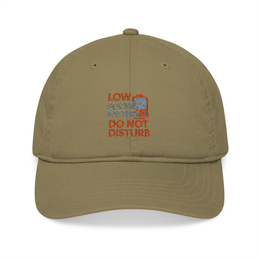 Organic Embroidered Baseball Cap - Do Not Disturb, Low Battery Club, Perfect Gift for Introverts, Casual Wear, Unique Accessories