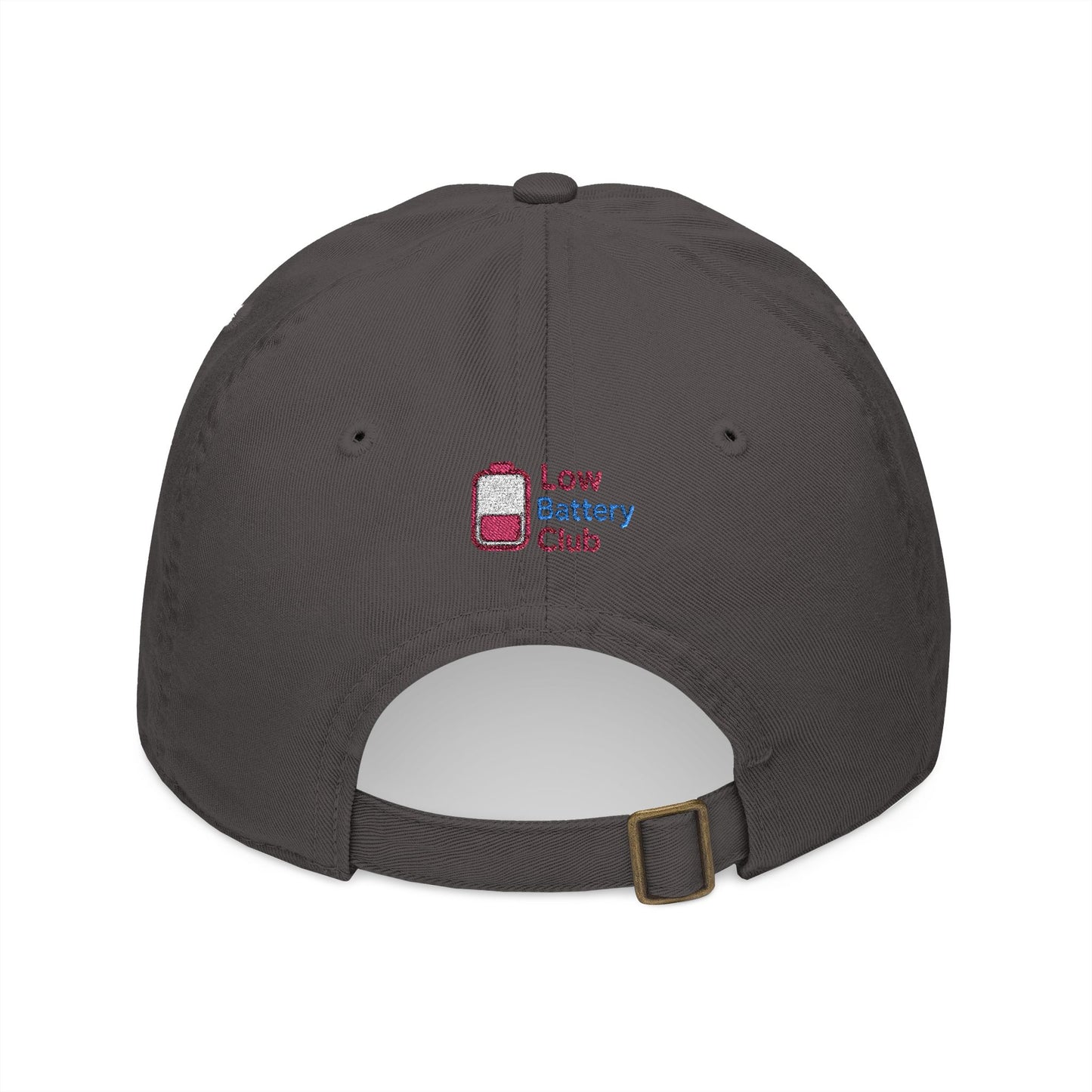 Organic Embroidered Baseball Cap - Do Not Disturb, Low Battery Club, Perfect Gift for Introverts, Casual Wear, Unique Accessories